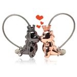 EQLEF Couples Keyrings Set, Cute Dinosaur Keyring Magnetic Love Keychain with Gift Box Aluminum Alloy Couple Keychain Gifts for Boyfriend Girlfriend (Black and Rose Gold)