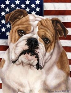 Bulldog - 