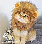 OMG Adorables - Lion Mane Costume f