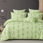 BSB HOME 300 TC Microfiber XXL Soft Cotton Super King Size Bedsheet for Double Bed, King Size 108 Inches X 108 Inches, 9 Feet, 275 X 275 cm with 2 Large Size Pillow Covers - Pastel Pistachio Green
