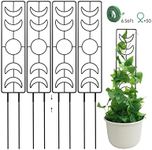 Trellis for Climbing Plants Indoor,