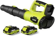 LEAPUL Leaf Blower, 21V Electric Co