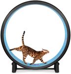 One Fast Cat - Cat Exercise Wheel -