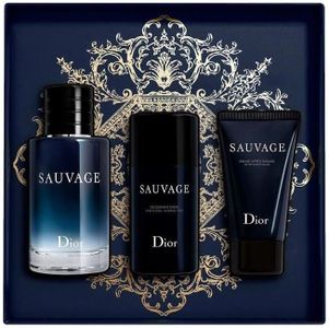 Dior Sauva