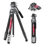 Ulanzi TT09 VideoGo Travel Tripod, 55.91" Carbon Fiber Camera Tripod with Arca QR & 360° Ballhead & Handle, Compact Lightweight Tripod for Photography/Video Shooting, for Most Cameras/DSLR/Projector