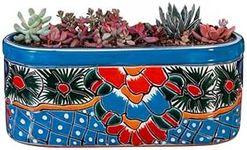 Evergreen Garden Talavera - Maceta de cerámica mexicana de cerámica turquesa | Maceta suculenta | Interior y exterior (12 pulgadas)