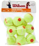 Wilson Tennis Balls, Starter Orange, Pack of 12, Yellow/Orange, for Children, WRT137200