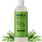 Sulfate Free Tea Tree Shampoo - Clarifying Shampoo for Oily Hair and Scalp with Tea Tree and Rosemary Oil 236mL