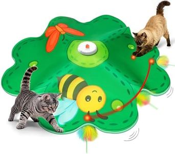 Cat Toys f