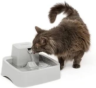 PetSafe Drinkwell 1/2 Gallon (64 Ounce) Small Pet Fountain - Small Dog and Cat Water Fountain - Dishwasher Safe Filtered Water Dispenser with Flow Control - Easy to Clean - Filters Included