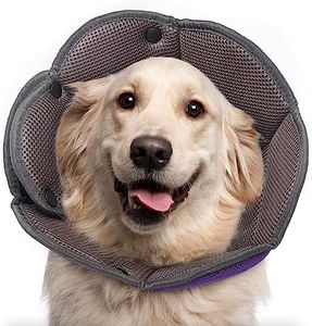 Hjyokuso Collerette Chien, Ajustable Collier de Récupération Chien Chat, Collerette Chien Anti Lechage, Colerette Chat Anti Lechage, Cône de Cicatrisation,Convalescence Après Une Chirurgie -Violet XL