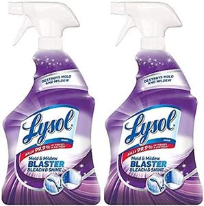 Lysol Mold
