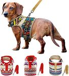 Muttitude Dog Harness & Leash Set, World Designs Collection (Extra Large, Pueblo)