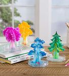 HearthSong Grow Your Own Crystals Kit for Kids—Enchanted Forest, Set of Four Colorful Trees (Approx. 4¼"-5¼"H) with Crystal-Growing Solution and Four Plastic Trays