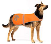 Safety Dog Vests