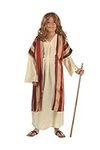 RG Costumes 90284-L Deluxe Moses Co
