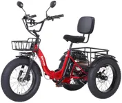 NARRAK Electric Tricycle for Adults