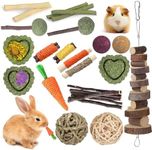 lisetar Rabbit Toys Guinea Pig Toys