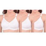 NINTEEN-69 Women's T-Shirt Non Padded/Embroidery/Non-Wired/Seemed/Hookable/Full Coverage White Color Bra (C, Pack of 3, 44)