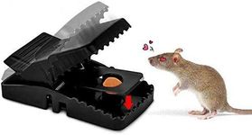 Plastic Rat Trap