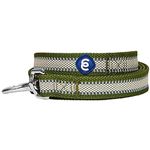 Blueberry Pet Dog Leash For Large Dogs