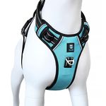 Dog Harness Front