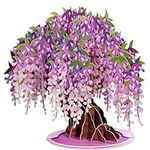 Paper Love 3D Wisteria Tree, With D
