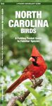 North Carolina Birds: A Folding Pocket Guide to Familiar Species (Wildlife and Nature Identification)