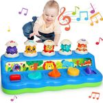 Yerloa Interactive Pop Up Animals Toy with Music & Light, Animal Sound, Baby Toys 12-18 Months, Cause and Effect Toys for 1 Year Old Boy Girl Toddler Toys Age 1-2 Baby Musical Toys