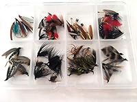 BestCity 50 plus Fishing Flies WET Selection FLY Selection TROUT more than 50 Flies in BOX PACK#9