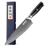 Japan Knife, Japanese Damascus Chef Knife 8 Inch VG10 67 Layers Super Steel Sharp Knife, Non-Slip Ergonomic Pakkawood Handle with Gift Box