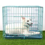 RvPaws Dog Cage - Powder Coated, Double Door Folding Metal Cage/Crate/Kennel with Removable Tray for Dogs, Cats and Rabbits - 24 Inch - Blue (L-24, W-17, H-20 INCH)