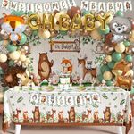 Woodland Animals Baby Shower Decora