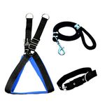 VIPCOLLECTION Combo Of Dog Harness Collar And Rope Leash Set-Adjustable Durable And Stylish For All Breed Dogs Comfortable For Walking And Training (Extra Small, Black-Blue)