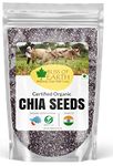 Bliss of Earth Chia Seeds 500gm Organic Raw For Weight Loss, Raw Super Food With Omega & Fiber