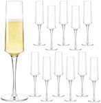 WYTAOHZL 12PCS Acrylic Champagne Fl