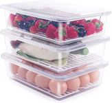 SATVIKAYA Food Storage Container with Removable Drain Plate and Lid,Stackable Portable Freezer Storage Containers Tray to Keep Fruits,Vegetables,Freezer Organizer 2500ML (Pack Of 6)(Plastic)