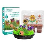 Happy Garden’s Sunflower Race & Hedgehog Bundle. Grow Your Own Sunflowers & Flowers from Seed, Kids Gardening Gift Set.