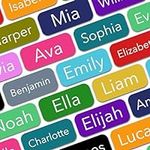 Personalized Name Labels (100 Label
