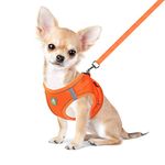 FEimaX Dog Harness and Leash Set, No-Pull Breathable Soft Mesh Puppy Vest Harness Reflective Adjustable Pet Harnesses for Small Medium Dogs and Cats - Outdoor Easy Control for Walking