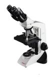 Labomed LX-300 Binocular Microscope, Illumination - Halogen - White