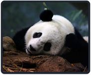 Mouse Pad Lazy Zoo Panda Bamboo Food Office Rectangle Non-Slip Rubber Mousepad Cool Gaming Mouse Mat for Laptops Computer Monitors Tablets Keyboards