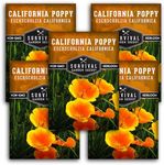 Survival Garden Seeds 5 Packets California Poppy for Planting - Seed Packs with Instructions to Grow Eschscholzia Californica Plants in Your Home Flower Garden - Non-GMO Heirloom Wildflower Variety