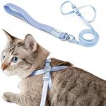 BuddyArmor Cat Harness and Leash 2-in-1, Escape Proof Anti-Chocking Harness Adjustable Lighweight Leash for Walking Outoor Training for Kitten Small Large Cats Puppy, US IDA Bronze Award (Sierra Blue)