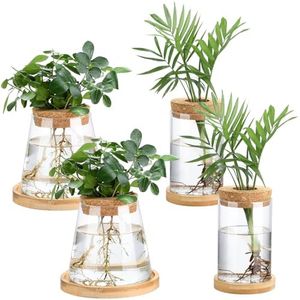 Layhit 4 Pcs Plants Propagation Stations Separated Desktop Plant Terrarium Glass Planter Vase with Wooden Lid and Bamboo Stand for Growing Hydroponic Home Office Tabletop Decoration (Stylish Style)