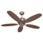 Polycab Superia SP04 1200mm Star Rated Premium BLDC | Free Installation | Designer Ceiling Fan For Home with Remote | 100% Copper, High Air Flow, Rust-Proof | 2-yr Warranty【Copper Rosewood】