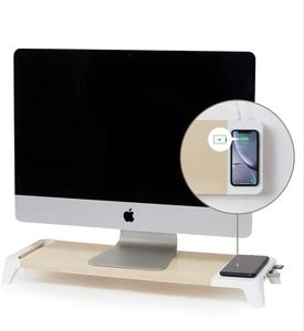 Pout Eyes 8 3-in-1 Hub Monitor Stand, White