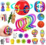 Nestling Fidget Toys Pack, Sensory Fidget Toys Set, 27 Pcs Fidget Toy Set Anxiety Relief Fidgets for Autism, Kids Toys Fidget Toys Pack for Kids or Adults as Gifts on Weekdays, Holidays or Birthdays