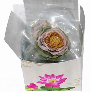 Tea Lotus 