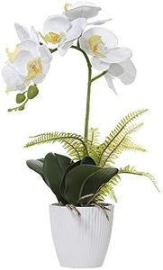 Olrla White Artificial Phalaenopsis Orchid Plant with Pot for Table Office Home Wedding Party Garden Decor (White 1)